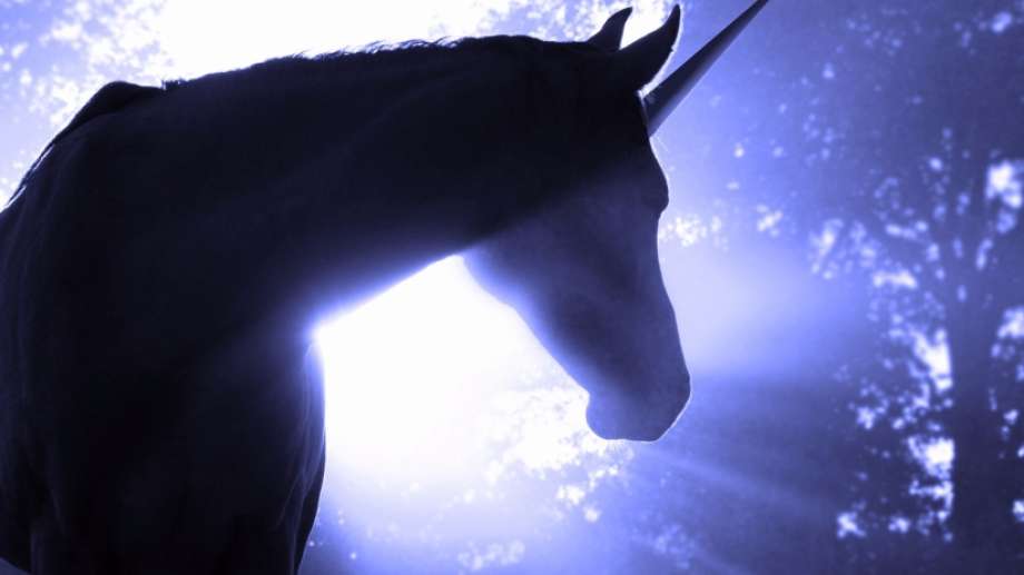 Unicorn Investors: The Top 5 Firms With the Best Record