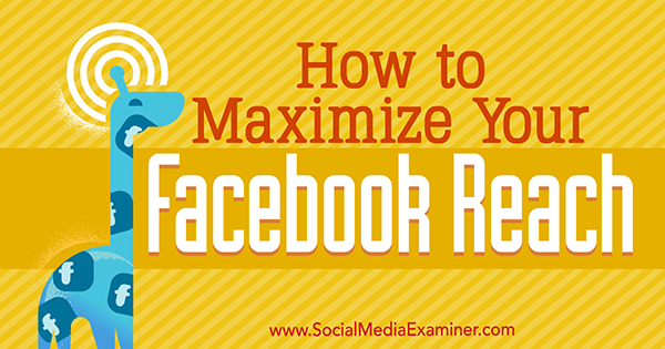 How to Maximize Your Facebook Reach