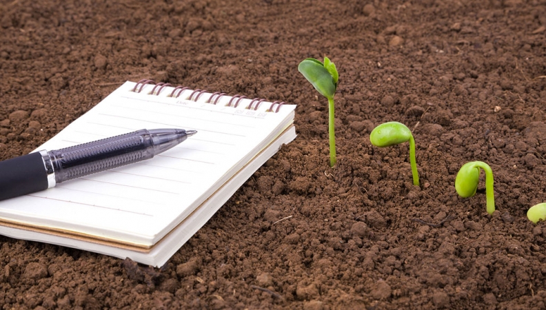 Spring Has Sprung: 5 Content Creation Strategies to Grow Your Small Business [This Season]