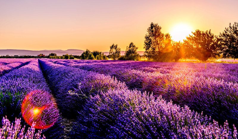 Do You Fascinate? Do You Fascinate?