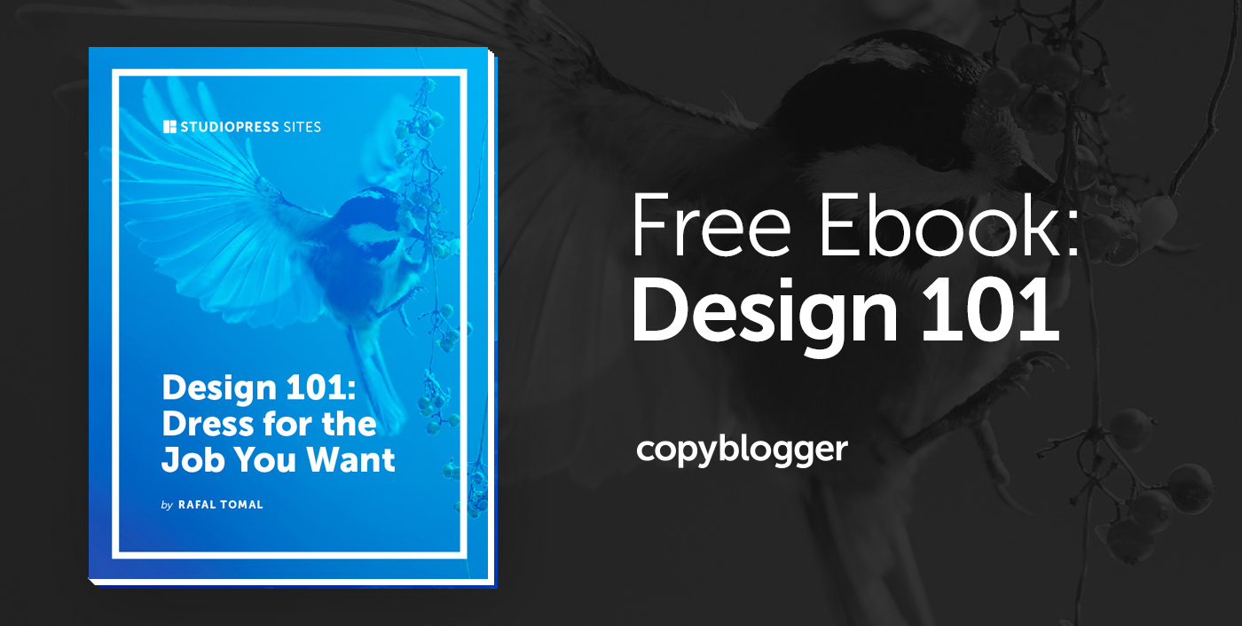 Transform Your Business Website Using Our Free ‘Design 101’ Ebook