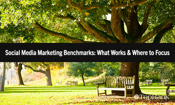 Social Media Marketing Benchmarks: What Works & Where to Focus