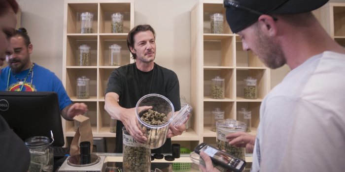 Branding Your Business and Crafting Your Story in the Cannabis Industry