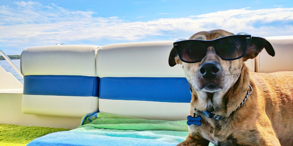 5 Brands Doing Cool Things on Social and What You Can Learn From Them