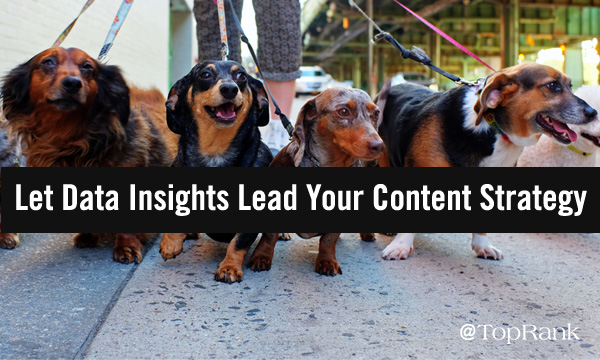 How Data Insights Can Lead Your B2B Content Marketing Strategy